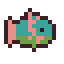 Parrotfish