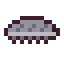 Pill Bug