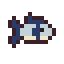 Pilot Fish