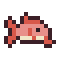 Red Mullet
