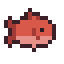 Red Snapper