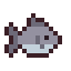 Sea Bass