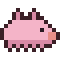 Sea Pig