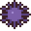 Sea Urchin