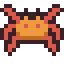 Spider Crab