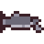 Sturgeon