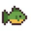 Tench