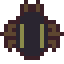 Water Beetle