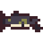 Wels Catfish
