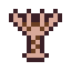 Sea Lily